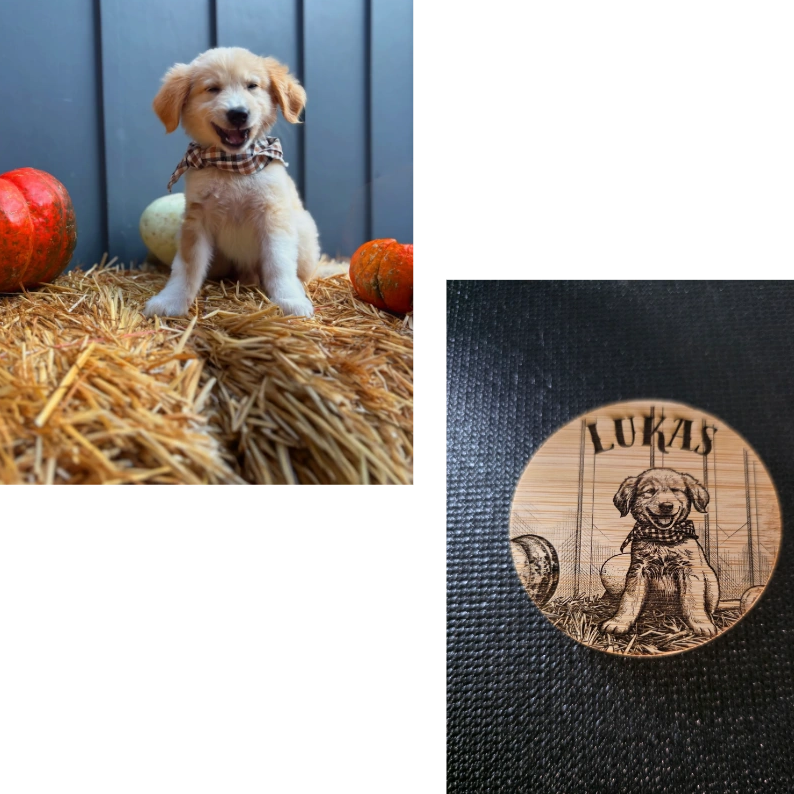 Laser engraved work — Creative Legacy Etching